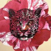 ����� �������� Ete Savage 41�27�� 37009