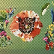 ϳ���� Ete Savage 42�20�� 37010