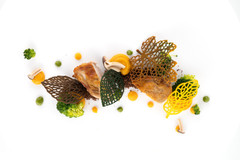 ����� ��� �������� �������� 470x270�� BOSCO