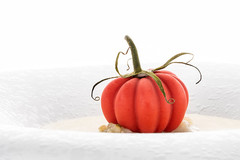 ����� ��� ������� ����� 43�28�� POMODORO 24