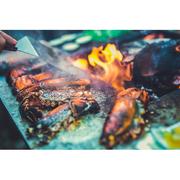 �����-���� Quadro ������ 240�100x95�� QN91137