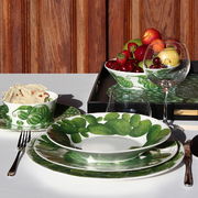 ������� �������� Cactus 23�� 5-5-1