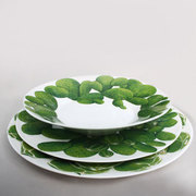 ������� ��� ���� Cactus 24,5�� 5-5-5