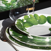 ������� ��� ���� Cactus 24,5�� 5-5-5