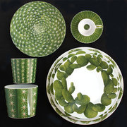 ����� ������ Cactus 31�� 5-5-6