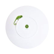 ����� ������ Cactus 31�� 5-5-6