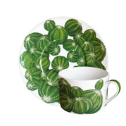 ����� ��� ��� � ������� Cactus 230�� 5-5-2