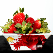 ϳ��� Emotion 14,5�� 13-2-12