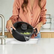 ������ Leo Stone 24�� 3950323