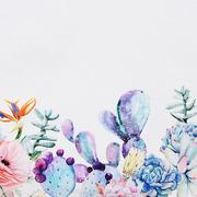 ���������� � ���������� ����������� ������������ ����� 160�300�� CactSaTeMantel-160x300DAC