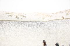 ��������� � �������� � ���������� ��������� ������� ������ 45�� NivesLTCojin-3-45x45DAC