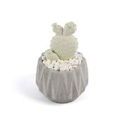 ������������� � ���� ������� Aroma Garden �������� ���� 100�� 18587-RUGIADA