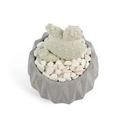 ������������� � ���� ������� Aroma Garden �������� ���� 100�� 18587-RUGIADA