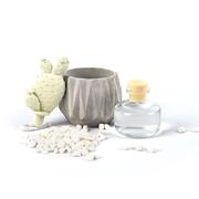 ������������� � ���� ������� Aroma Garden �������� ���� 100�� 18587-RUGIADA