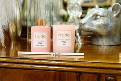 ����� ����� Cipria ���� 130�� 17105-Rosa