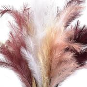 ó��� ����������� �������� ����� 100�� 250849