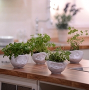 ����� ������� 16,6�� TASS10401/TA