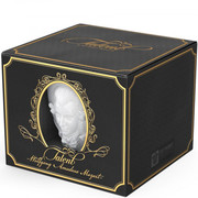 ����� ��� ��� � ������� Wolfgang Amadeus Mozart 260�� TASS800201/TR