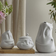 ������ ���������� � ������� ������� 1,2� TASS13101/TG