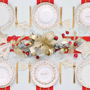 ����� ������� New Year Christmas Lights 21�16�� R1325#CHLI