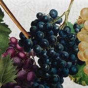 �������� Vigna Digital 140�270�� 78070-VIGNA-140x270