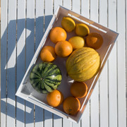 ���� ������������� Kitchen Active Design ����� 48x31x15�� 17020011