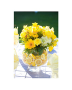 ���� Geneva 32�� mzX027