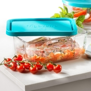 ��������� � ������� Frigoverre System 26�21�� 335150MA4121990