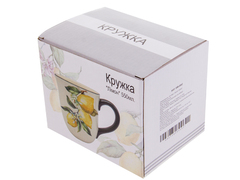 ������ ����� 550�� 858-0062