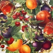 ������ � ������� Le Primizie 34x27,5x20,5�� 52678