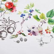 �������� � ���������� ��������� ���� ������� 220�� FruiSaALTeMantel-D220-DAC