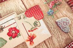 ������ � ���������� ��������� ����������� ��������� 40�100�� TesisTeAllRuner-40x100DAC