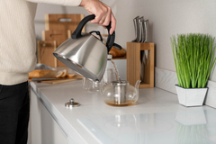 ������ Gemini 2,5� AR1948KS