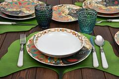 ����� ������� Saba 6/18 56378