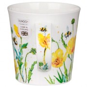 ������ Cairngorm Busy Bees Buttercup 480�� 111002721