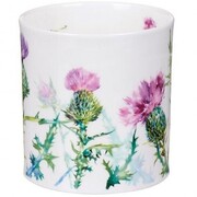 ������ Orkney Scottish thistle 350�� 111002771