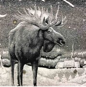 ��������� Black Night ���� 45�45�� 4823093436275