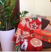 ���� ������� 130�170�� 4823093425408