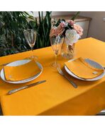 �������� ������������ Orange 35�45�� 4823093431096