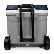 �������������� ��������� latitude 62 roller MaxCold ����� � ����� 56� 0342233469668