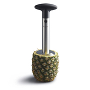 ͳ� ��� ��������� ������� Master Class 8�� MCPACORESS