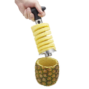 ͳ� ��� ��������� ������� Master Class 8�� MCPACORESS