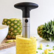 ͳ� ��� ��������� ������� Master Class 8�� MCPACORESS