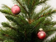 ���� ��������� ������� 6�� 8720362102359