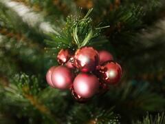 ������� ������� ������� 2�� 8720362102571