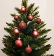 ����� ������� ������� 5/6/7�� 8720362102915