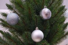 ���� ��������� ������� 6�� 5900779840621_2