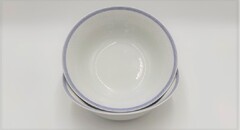 ���� ��������� Opal �������� ��������� 19��