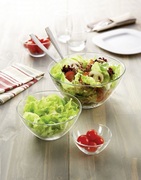 ����� ���������� Lotusia 15/20�� V1096