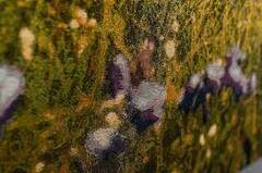 ����� �������� 140�100�� DolomitePannelM-140x100